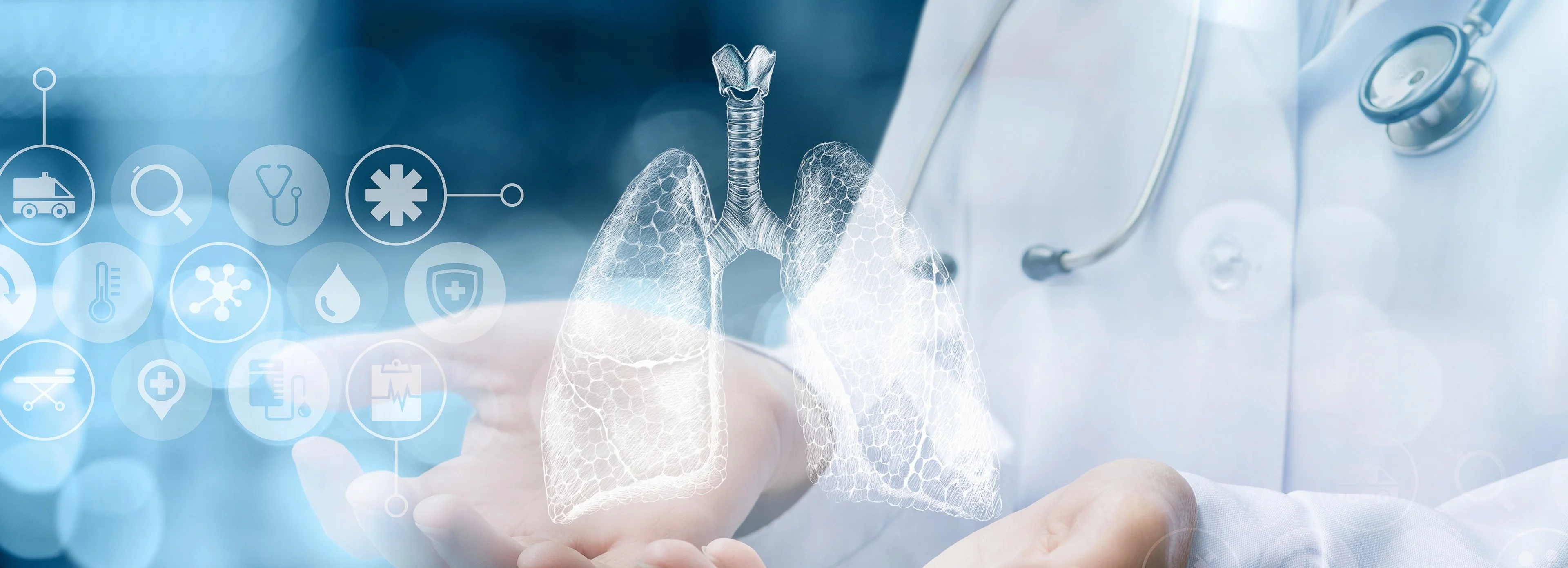 Medical worker shows human lungs .